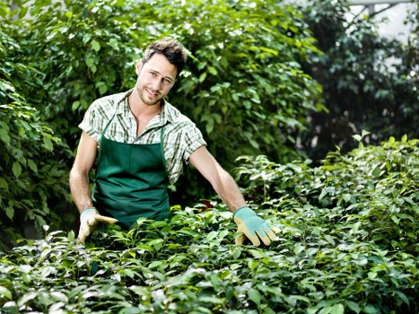Mulched green waste being applied to a local community garden