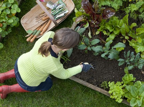 PayPal and bank transfer options for Plaistow garden maintenance