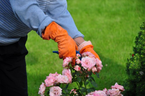 Checklist of accessibility features for garden care information